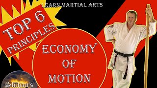 Top 6 Principles for Economy of Motion in Martial Arts Training