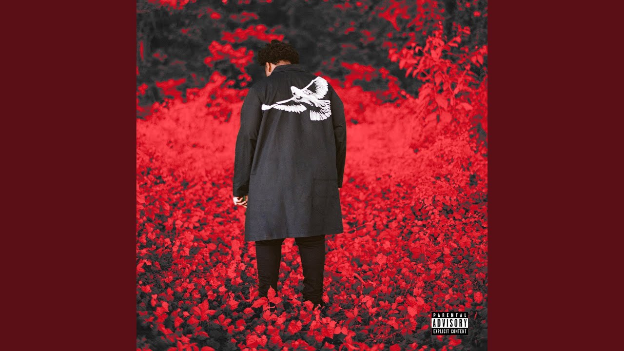 No Love Youtube Music