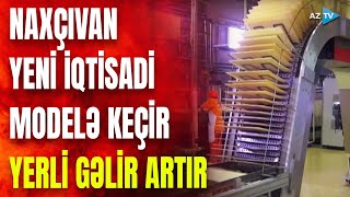 Naxçıvanda sahibkarlıq mühiti daha da yaxşılaşdırılır: iqtisadi müstəqilliyi güclənir