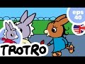 TROTRO ENGLISH - 🥇EP40🥋 - Trotro the judo champion