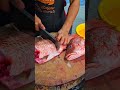 red snapper കടൽ ചെമ്പല്ലി trending fishing fishcuting shorts viralvideo instagram fish food