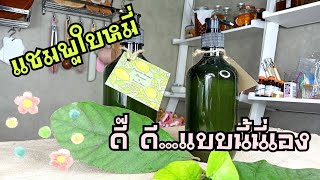 แชมพูใบหมี่🌿 ดี๊ ดี ผมนุ่ม วอลุ่มมา | ตัังแต่สระครั้งแรก 💁💕| By พรวนเพลิน Learn\u0026PlaY 😊