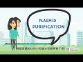 【合成生物學小教室synthetic biology classroom】合成生物學實驗：質體純化synthetic biology experiment plasmid purification