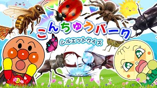 【昆虫 集合！】アンパンマンと一緒に調べよう☆昆虫好き集まれ！☆昆虫の名前を覚えよう！カブトムシ、テントウムシ、サソリ、ムカデなど、よく見かける昆虫10種類が登場！