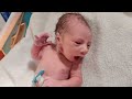 alert newborn baby just after birth cute cutest baby newborn infant