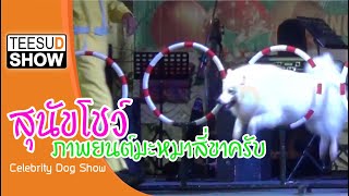 โชว์สุนัขแสนรู้ สุนัขโชว์ DOG SHOW การแสดงสุนัข มะหมาสี่ขาครับ การแสดงความสามารถ โทร.081-5709555