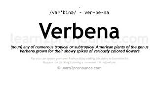 Verbena pronunciation and definition