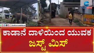 Elephant | Hosur | ಆಹಾರ ಅರಸಿ ಗ್ರಾಮಕ್ಕೆ ನುಗ್ಗಿದ ಒಂಟಿ ಸಲಗ