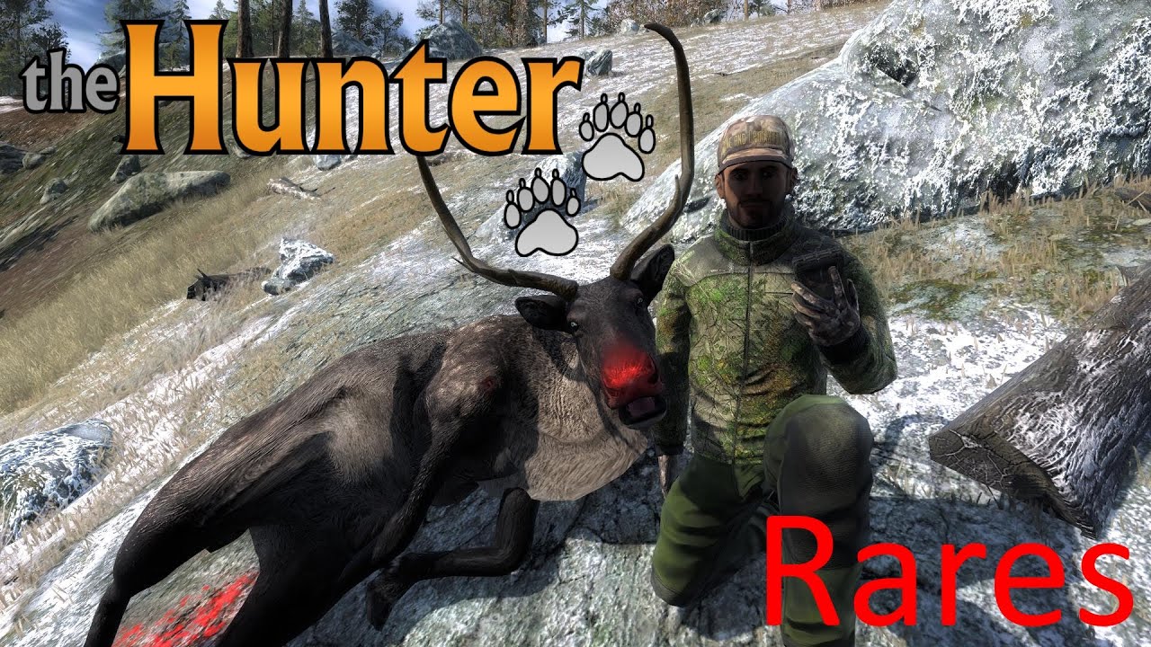 The Hunter Rares Youtube