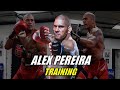 Alex Pereira Training