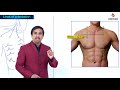 Lines of orientation - Mid sternal , Mid clavicular  and Axillary lines