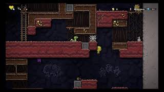 Spelunky 2 I will Beat no gold 7