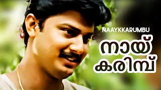 Naaykkarumbu | Kambolam 1994 | Baiju Kottarakkara | Malayalam Movie Song