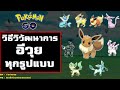 วิธีวิวัฒนาการอีวุย eevee ทุกรูปแบบ ในเกม pokemon go