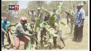 Aikari a Maiella, Naivasha kururungana