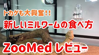 【レビュー】ZOO MEDのミルワームフィーダー使ってみたらトカゲが大興奮？！