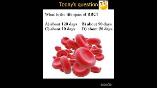 What is Life span of RBC Red blood cells #humanbody #facts #shorts