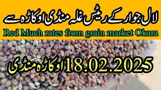 Red Much rates from grain market Okara || okara mandi jawar price in Punjab Pakistan