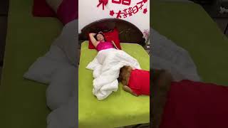 干什么呀？莫名其妙的！#夫妻日常 #萌宠出道计划 #孕妈 #狗狗