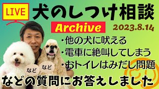 犬のしつけ相談ライブ☆ゲリラライブ 【アーカイブ 2023/08/14】