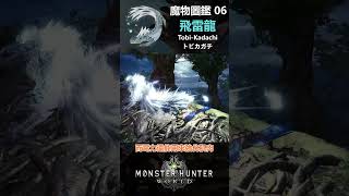 魔物圖鑑 06 飛雷龍 #mhw #魔物獵人 #魔物獵人世界 #魔物獵人世界冰原