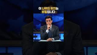 미국에서 숨기는 나무의 비밀