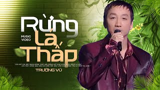 RỪNG LÁ THẤP - TRƯỜNG VŨ | Nhạc Xưa Bất Hủ Nghe Đi Nghe Lại Không Chán