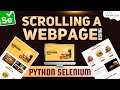 Python Selenium Tutorial 2023: How to Scroll a Web Page in Selenium - English