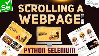 Python Selenium Tutorial 2023: How to Scroll a Web Page in Selenium - English