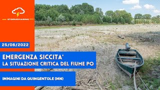 EMERGENZA SICCITA' - IL LIVELLO DEL PO SCENDE, MORIA DI PESCI A QUINGENTOLE (MN)