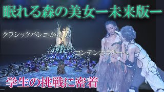 【特集】未来の新星たちが挑む！クラシックバレエを現代舞踊作品へ プロダンサーとの共演【新潟･長岡市】スーパーJにいがた12月5日OA