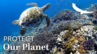 Protect our Planet | Blue Conservation | Hope Spots