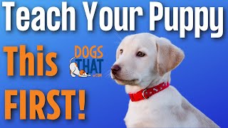 Puppy's First Training with Susan Garrett: Shaping, Targeting and Collar Conditioning
