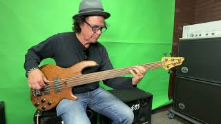 Wal bass 5 STRING fretless MK3 || Rob Pag from Ohm band, LA session player