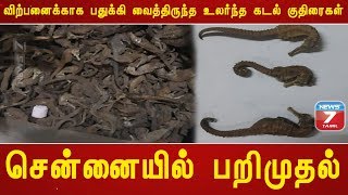 சென்னையில் 15 லட்ச ரூபாய் மதிப்பிலான உலர்ந்த கடல் குதிரைகள் பறிமுதல்