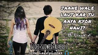 Kyon- B Praak 💔 Lofi Slowed Reverb (Lyrics) | Jaane Wale Laut Kar Tu Aaya Kyon Nahi | Breakup, sad