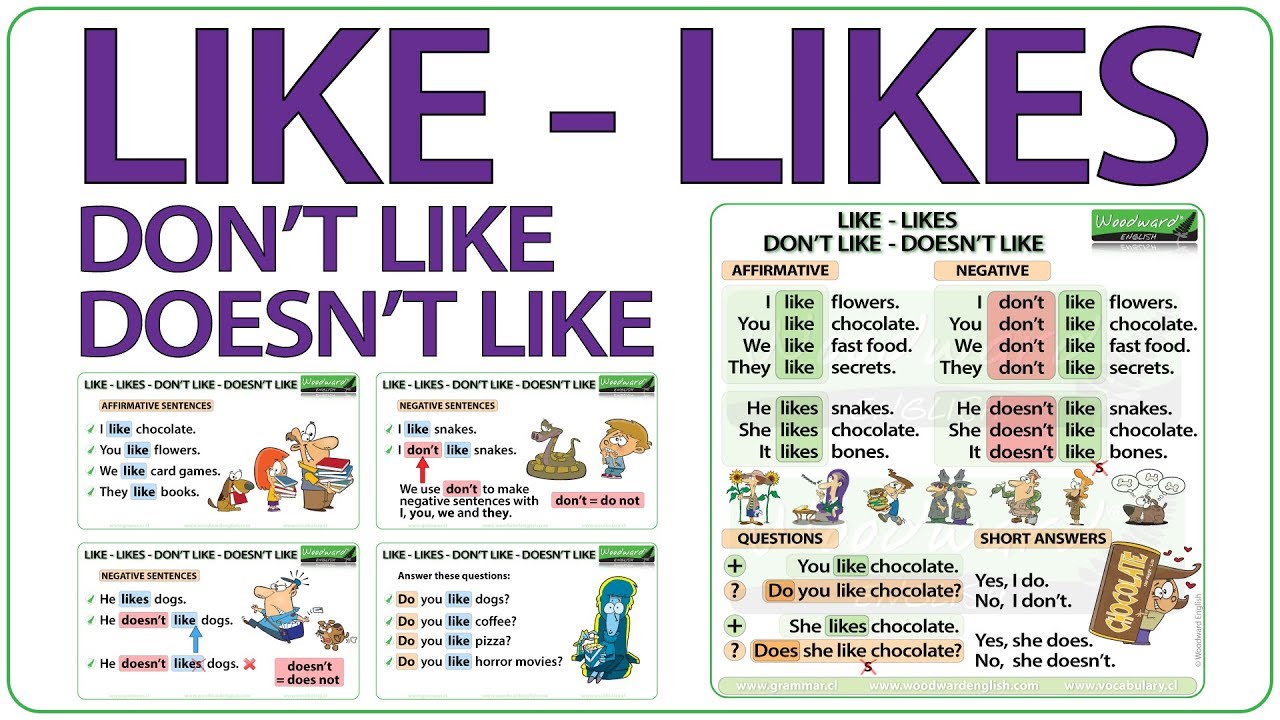 Like Likes Don T Like Doesn T Like Present Simple Tense In English