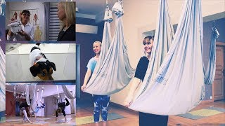 KOIVUTV - Irina ja AntiGravity, iilimatohaaste ja syöpäkoiratutkimus