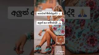 ඇයි මිනිස්සු මෙහෙම