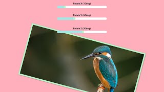 Animation with CSS Variables (How to Dynamically Change Values with CSS Variable)