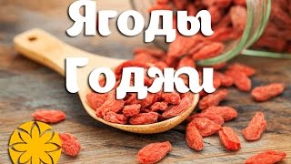 Годжи ягоды (Goji) Amideya.com.ua