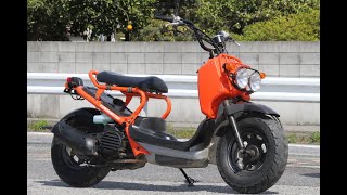 Honda Zoomer. Капиталим \