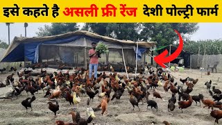 इसे कहते असली फ्री रेंज देशी पोल्ट्री फार्म, low cost farm, free ranj deshi poultry farm #deshimurgi