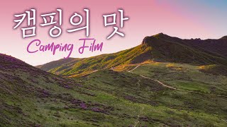 4K Camping in such a beautiful place in Korea l Korean Camping l  Azalea tracking