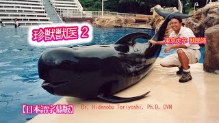 『奇跡のカリスマ獣医 鳥吉英伸』昆虫、魚から象、クジラまで二万種の珍獣動物の救命医  2  Hidenobu Toriyoshi 【日本語字幕版/ ドキュメンタリー/ 密着】動物病院