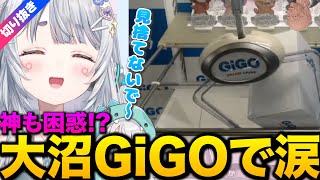 【杏戸ゆげ/切り抜き】大沼GiGO選手権優勝者の立ち回り（39クレジット6神）【ななしいんく】