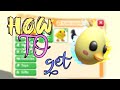 How to get the Adopt me Chick Egg [ROBLOX Egg Hunt 2020]