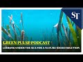 Looking under the sea for a nature based solution | Green Pulse Ep 36