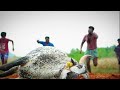 jallikattu sad song thumbu kairu movie song mr.thenikkal 2022