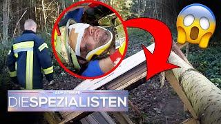 Unterm HOCHSITZ BEGRABEN 🌲​ Hat der Förster seine Hände mit im Spiel? ​| Die Spezialisten | SAT.1